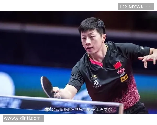 杭州乒乓球队在钻石联赛中的拼搏历程与辉煌成就分享