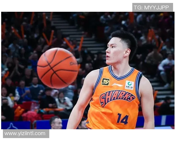 最新篮球个人能力排行榜出炉上海篮球队球员表现抢眼位居前列