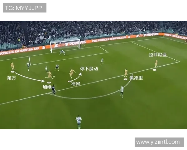 武汉乒乓球队的节奏打法解析与战术优势探讨